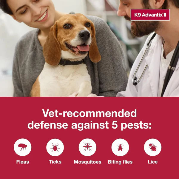 K9 Advantix II XL Flea, Tick & Mosquito Treatment for Dogs Over 55 lbs | Vet Recommended | 6-Month Supply