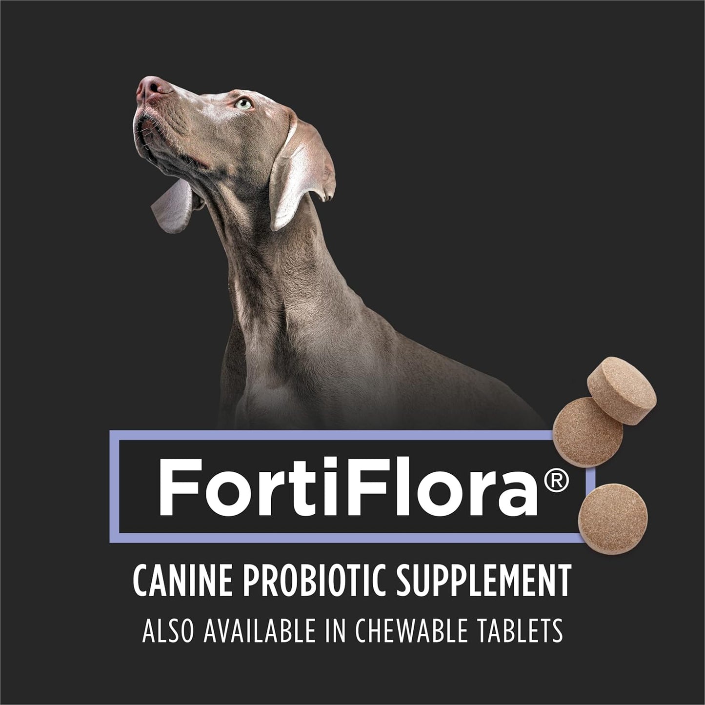 Purina FortiFlora Dog Probiotic Supplement – 2 Pack (30 ct Each)