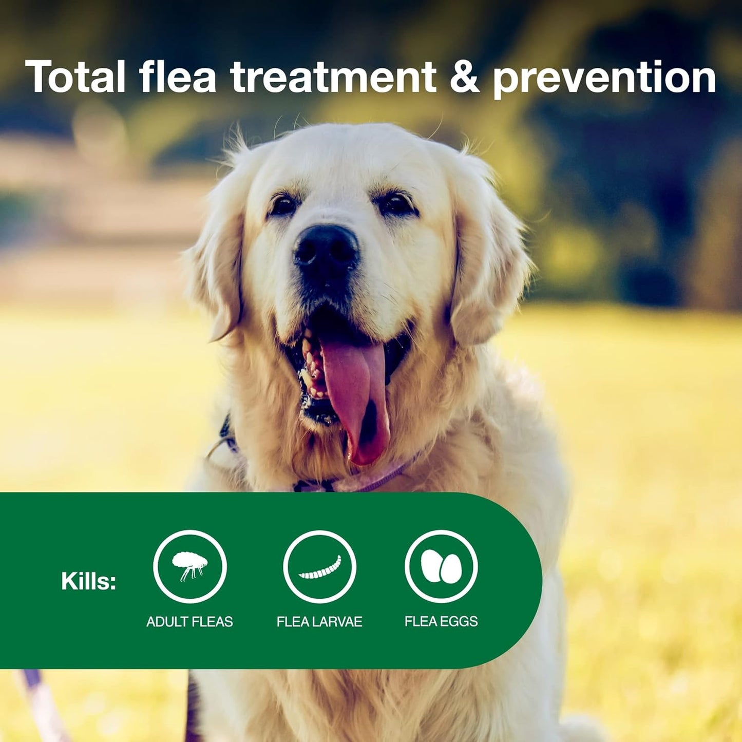 Advantage II Flea Treatment for Large Dogs (21–55 lbs) – 4-Month Supply