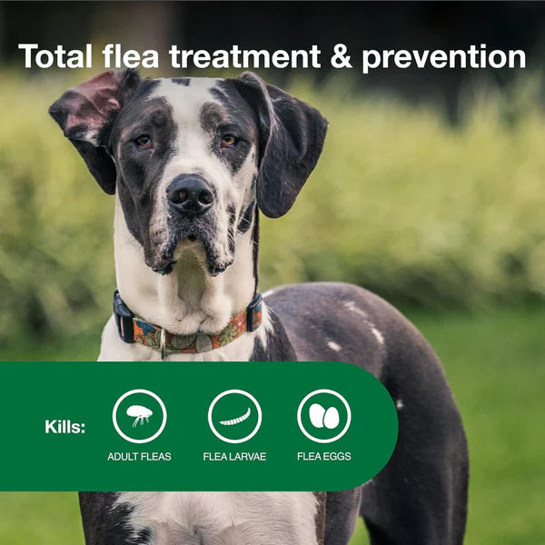 Advantage II Extra Large Dog Flea & Tick Protection (Over 55 lbs)