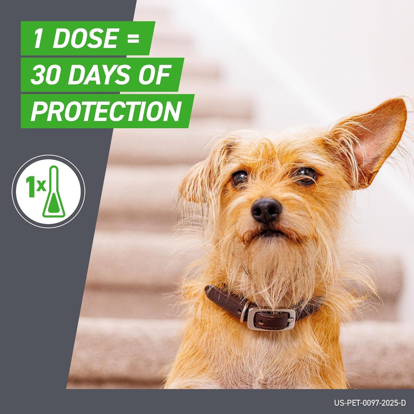 Frontline Plus Flea & Tick Treatment for Medium Dogs (23–44 lbs) – 6 Doses