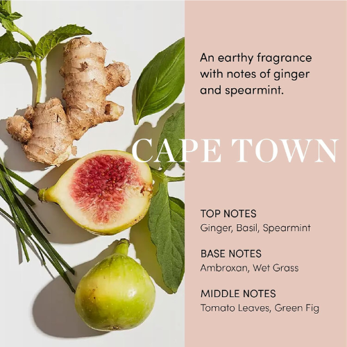 OUAI Scalp Serum with Red Clover Extract & Peptides – 2 fl oz