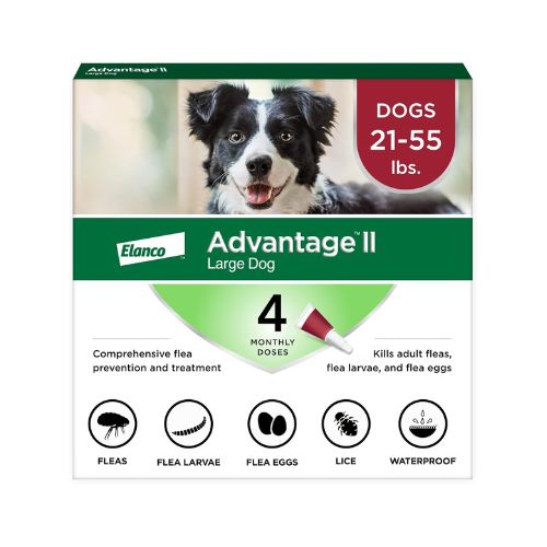 Advantage II Flea Treatment for Large Dogs (21–55 lbs) – 4-Month Supply