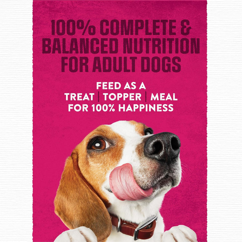 Purina Moist & Meaty Soft Dog Food – Steak Flavor (36 Individual Pouches)