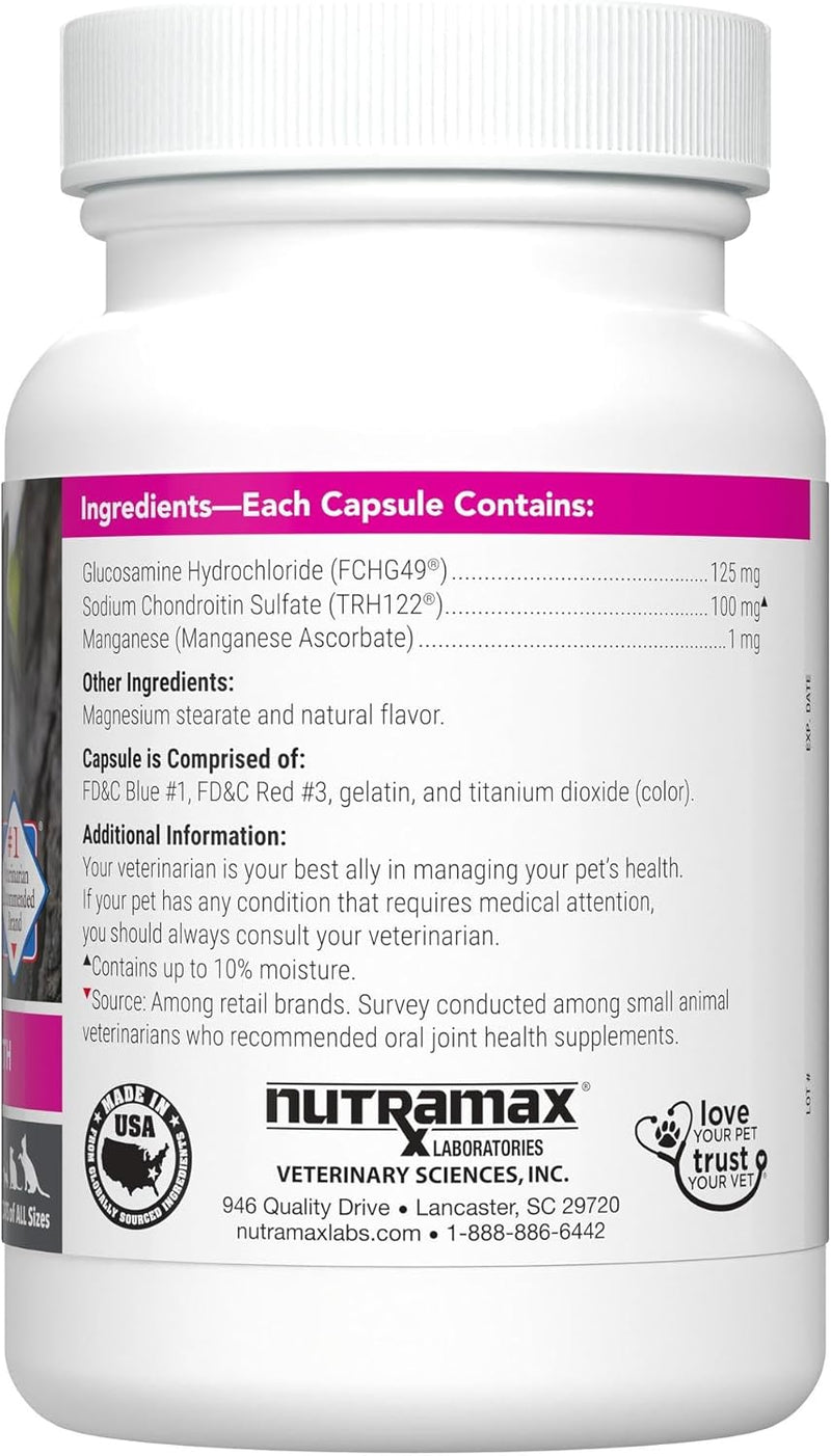 Nutramax Cosequin Joint Health Supplement for Cats – 55 Capsules with Glucosamine & Chondroitin