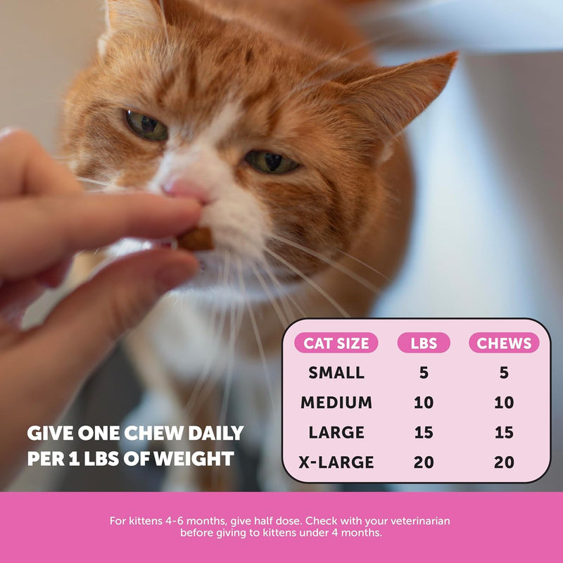 Pet Honesty Cat Multivitamin Chews – Crunchy & Creamy Treats for Health, Immune, Joint, Skin & Coat, & Digestion – Omega 3s, Lysine & Probiotics (30 Day Supply)