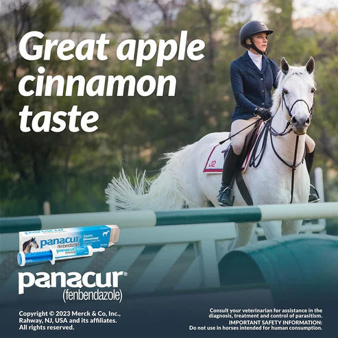 PANACUR Dewormer Horse Paste 10% – 6 Pack (100mg Each)