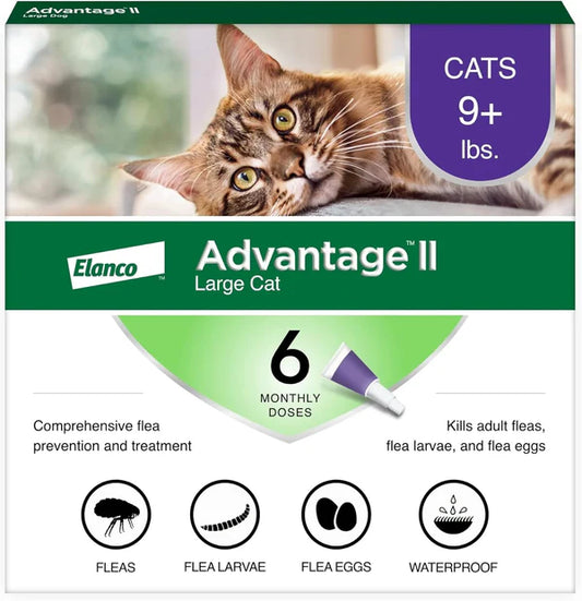 Advantage II Large Cat Flea Treatment & Prevention – Vet Recommended | For Cats Over 9 lbs | 6-Month Supply