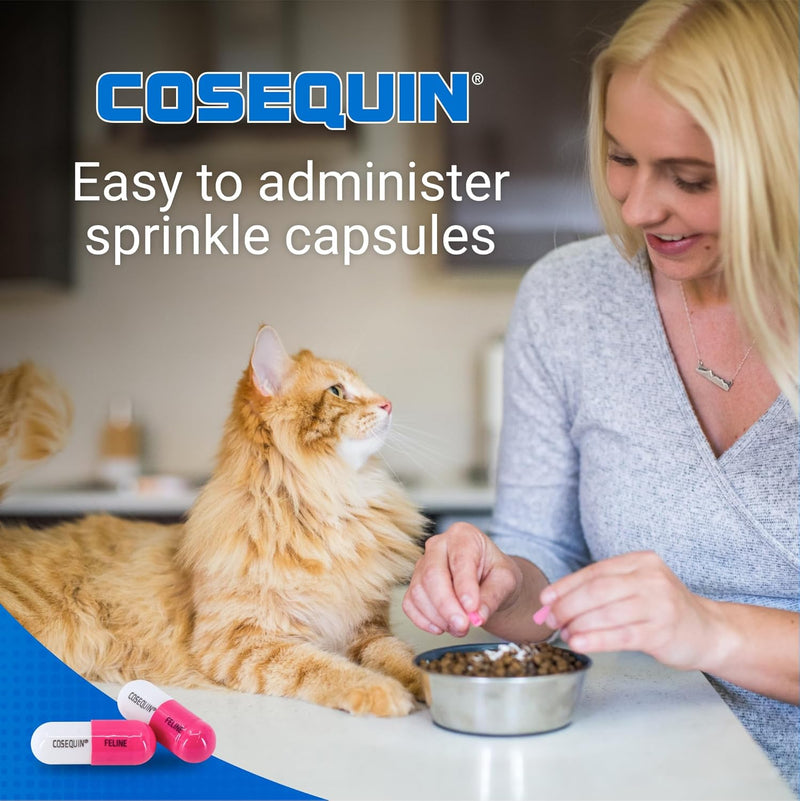 Nutramax Cosequin Joint Health Supplement for Cats – 80 Capsules with Glucosamine & Chondroitin
