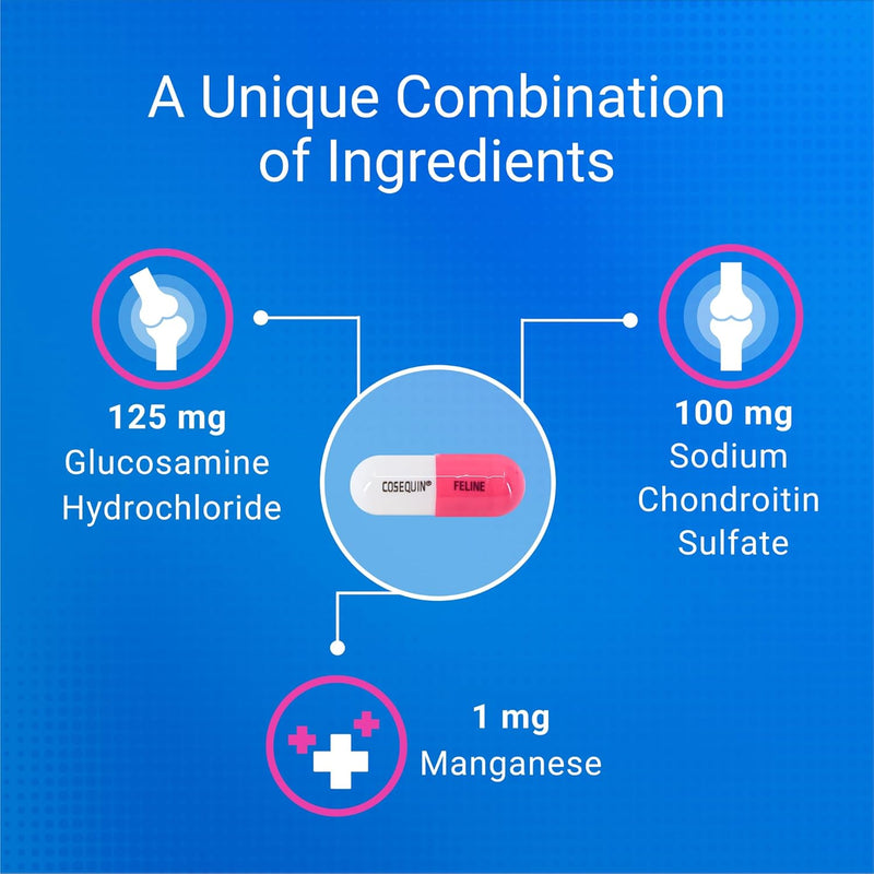 Nutramax Cosequin Joint Health Supplement for Cats – 80 Capsules with Glucosamine & Chondroitin
