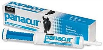 PANACUR 10% Horse Dewormer Paste – 100mg Each (Pack of 2)