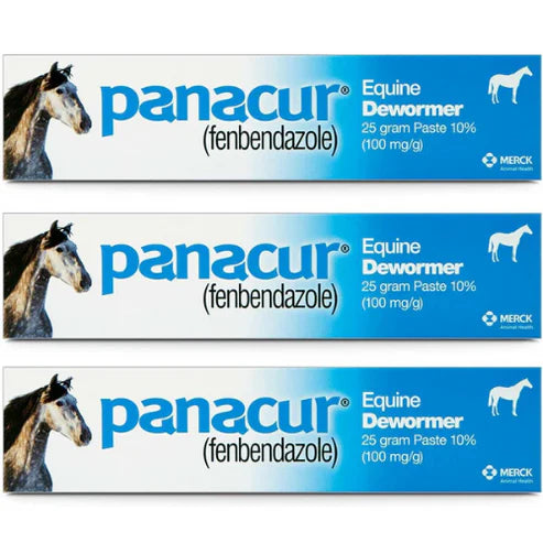 PANACUR Dewormer Horse Paste 10% – 3 Pack (100mg Each)