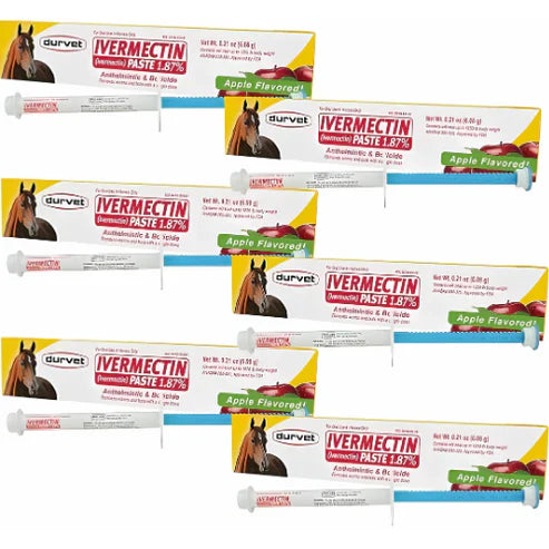 Durvet Ivermectin Paste Dewormer – 6.08g Dose Apple Flavor Pack of 6