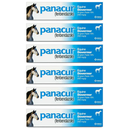 PANACUR Dewormer Horse Paste 10% – 6 Pack (100mg Each)