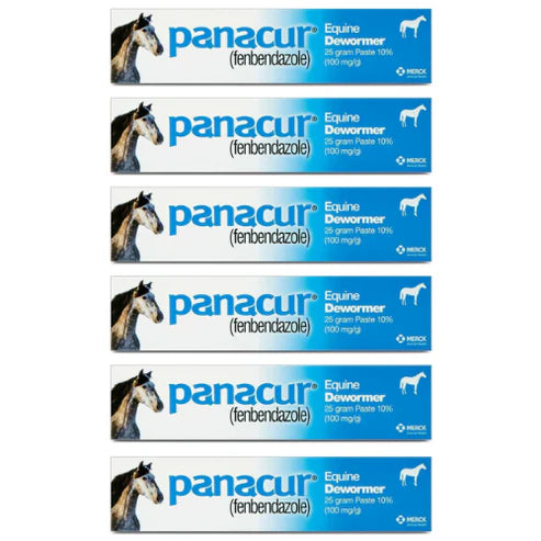PANACUR Dewormer Horse Paste 10% – 6 Pack (100mg Each)