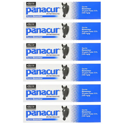 PANACUR 10% Horse Dewormer Paste (Pack of 6) – 100mg Each