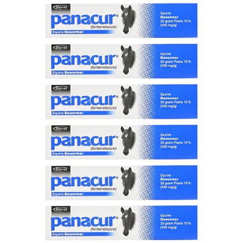 PANACUR 10% Horse Dewormer Paste (Pack of 6) – 100mg Each