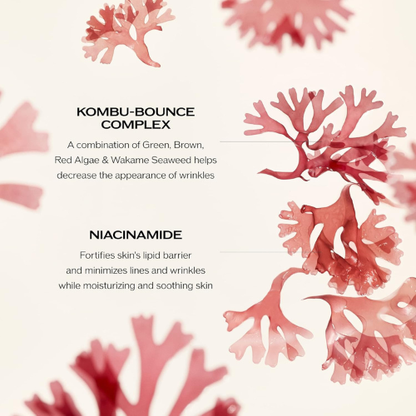 Shiseido Benefiance Wrinkle Smoothing Cream | Anti-Aging Moisturizer – 50 ml