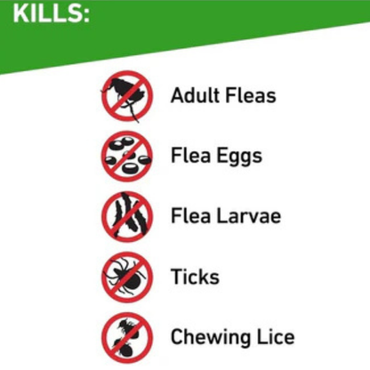 FRONTLINE Plus Flea & Tick Treatment for Cats Over 1.5 lbs | 6-Month Supply (6 Treatments)