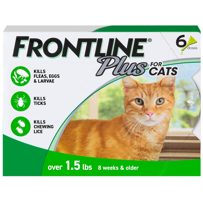 FRONTLINE Plus Flea & Tick Treatment for Cats Over 1.5 lbs | 6-Month Supply (6 Treatments)