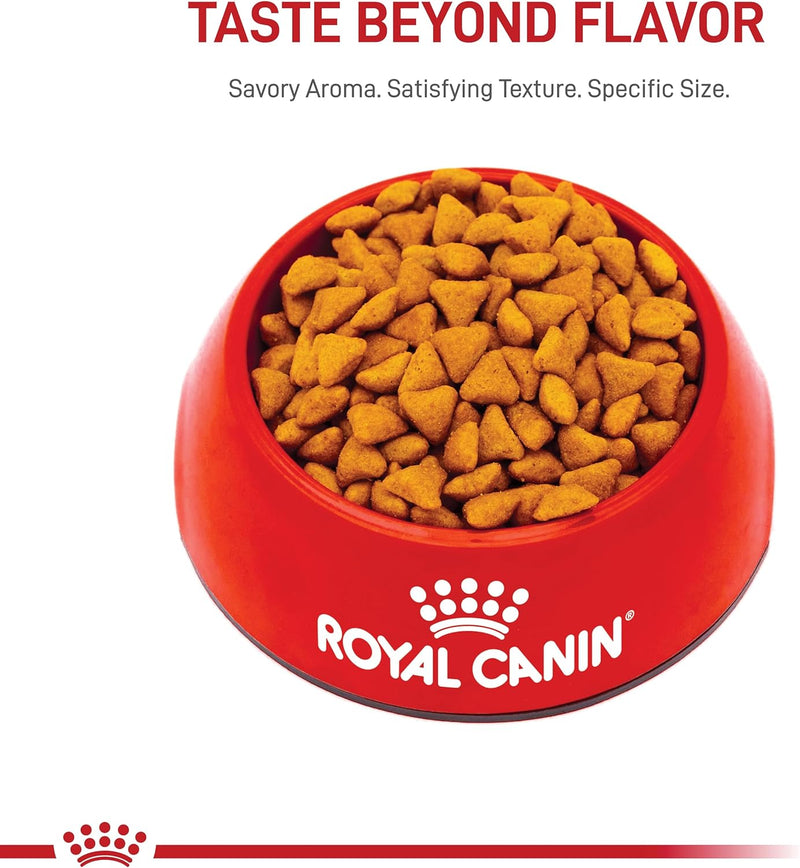 Royal Canin Indoor Adult Dry Cat Food – Feline Health Nutrition, 7 lb Bag